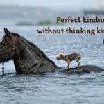 Kindness #2